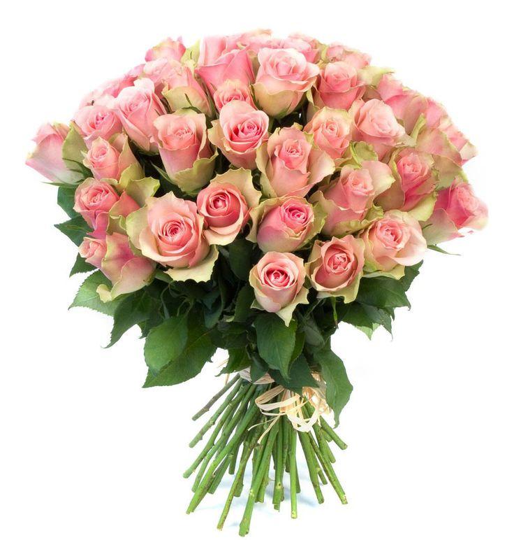 Celestial Beauty Timeless Blossom Array